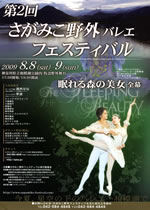 ��2��@�����݂���O�o���G�t�F�X�e�B�o���@�p���t���b�g�摜