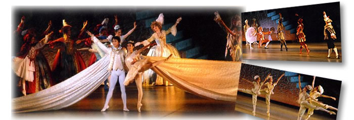 ���͌Ζ�O�o���G�t�F�X�e�B�o�������ʐ^